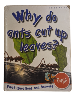 Why Do Ants Cut Up Leaves?