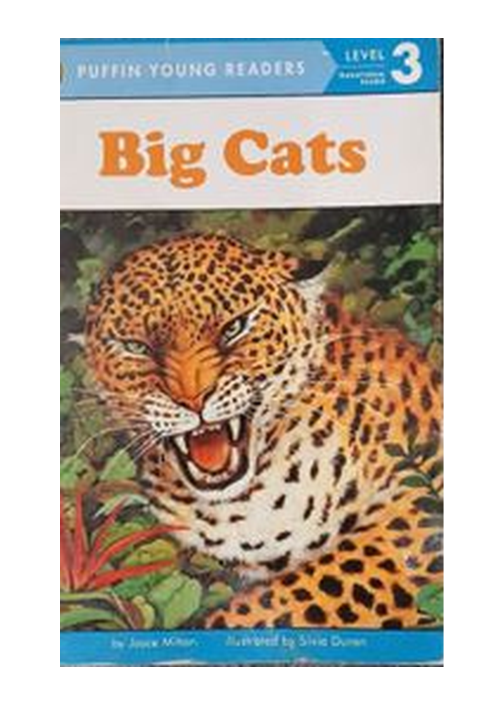 Big Cats