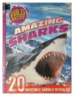 Amazing Sharks – Wild Nature