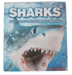 SHARKS — GET UP CLOSE TO TERRIFYING SHARKS!