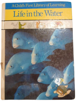 LIFE IN THE WATER