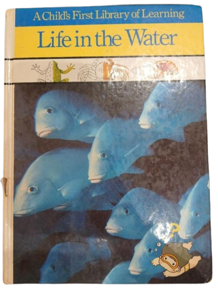 LIFE IN THE WATER