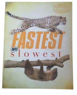 FASTEST AND SLOWEST