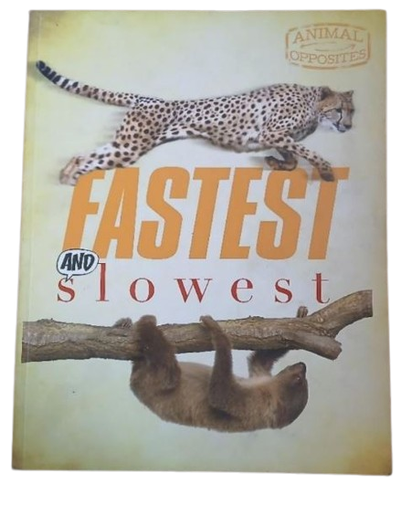 FASTEST AND SLOWEST