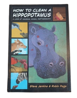 HOW TO CLEAN A HIPPOPOTAMUS