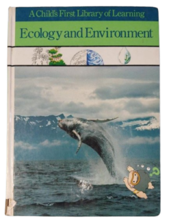 ECOLOGY AND ENVIRONMENT