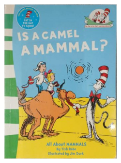 Is a Camel a Mammal? – All About Mammals