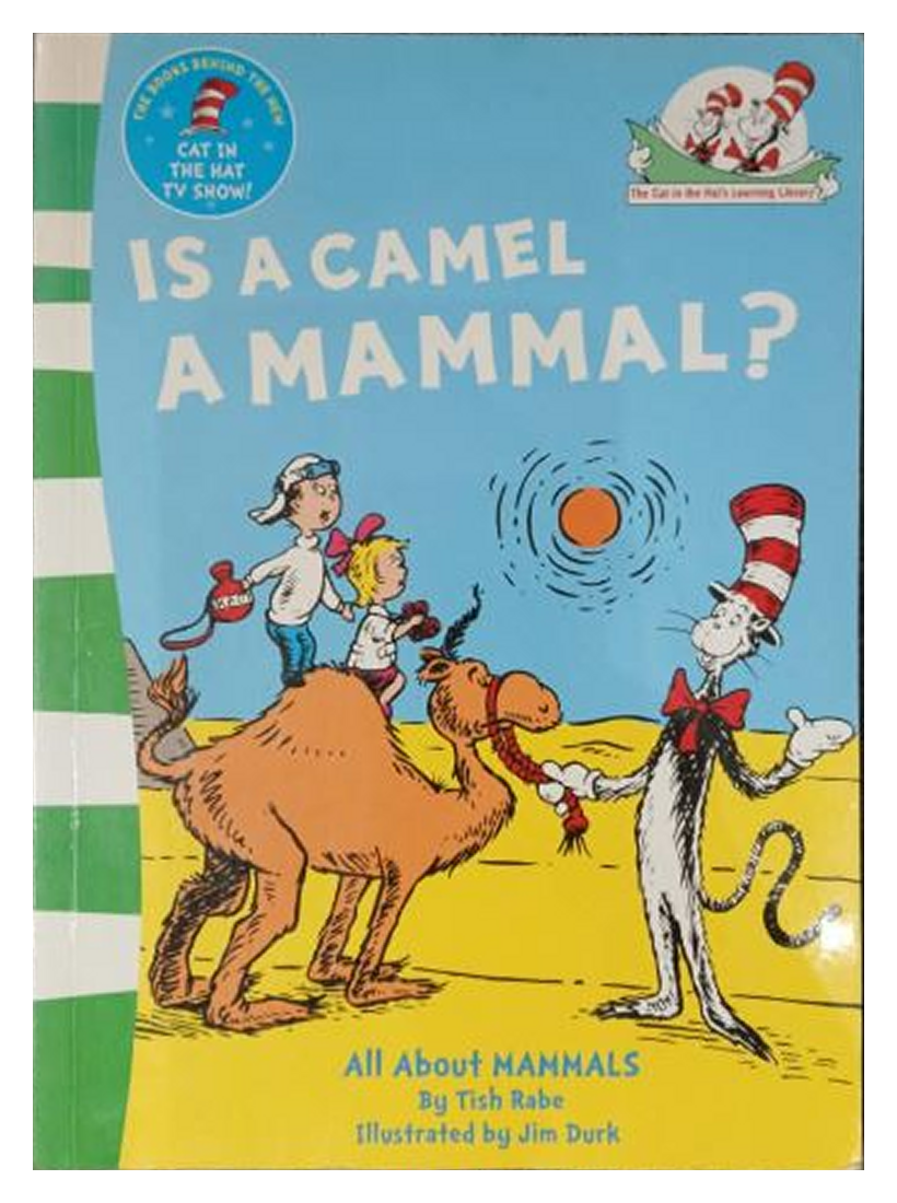 Is a Camel a Mammal? – All About Mammals
