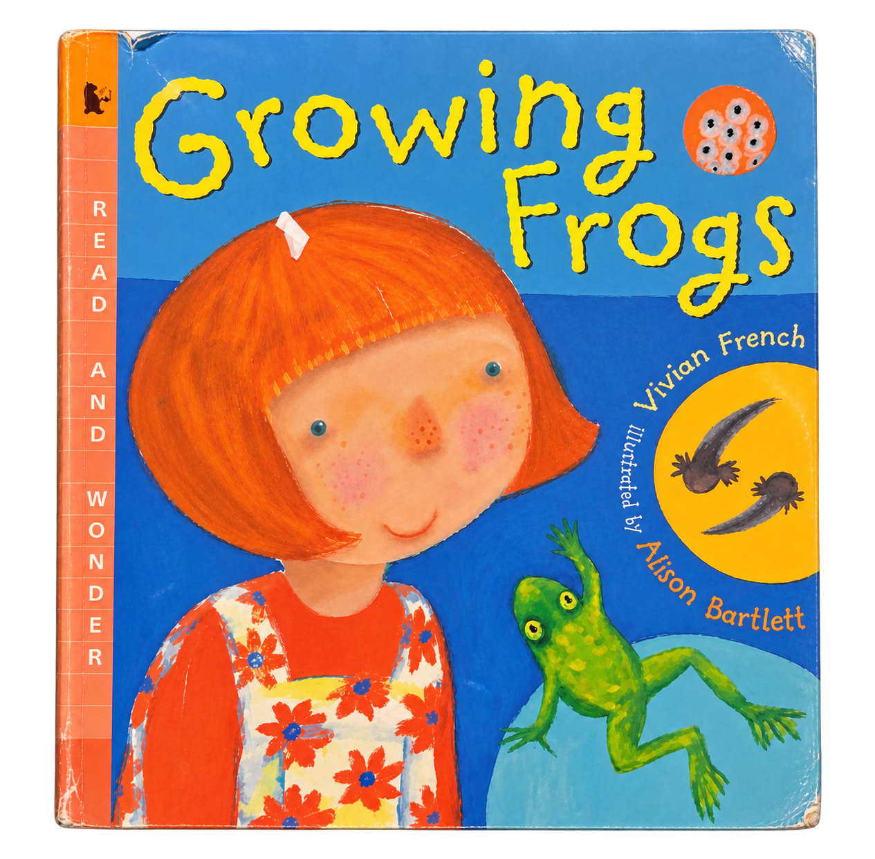 Growing Frogs