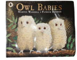 Owl Babies